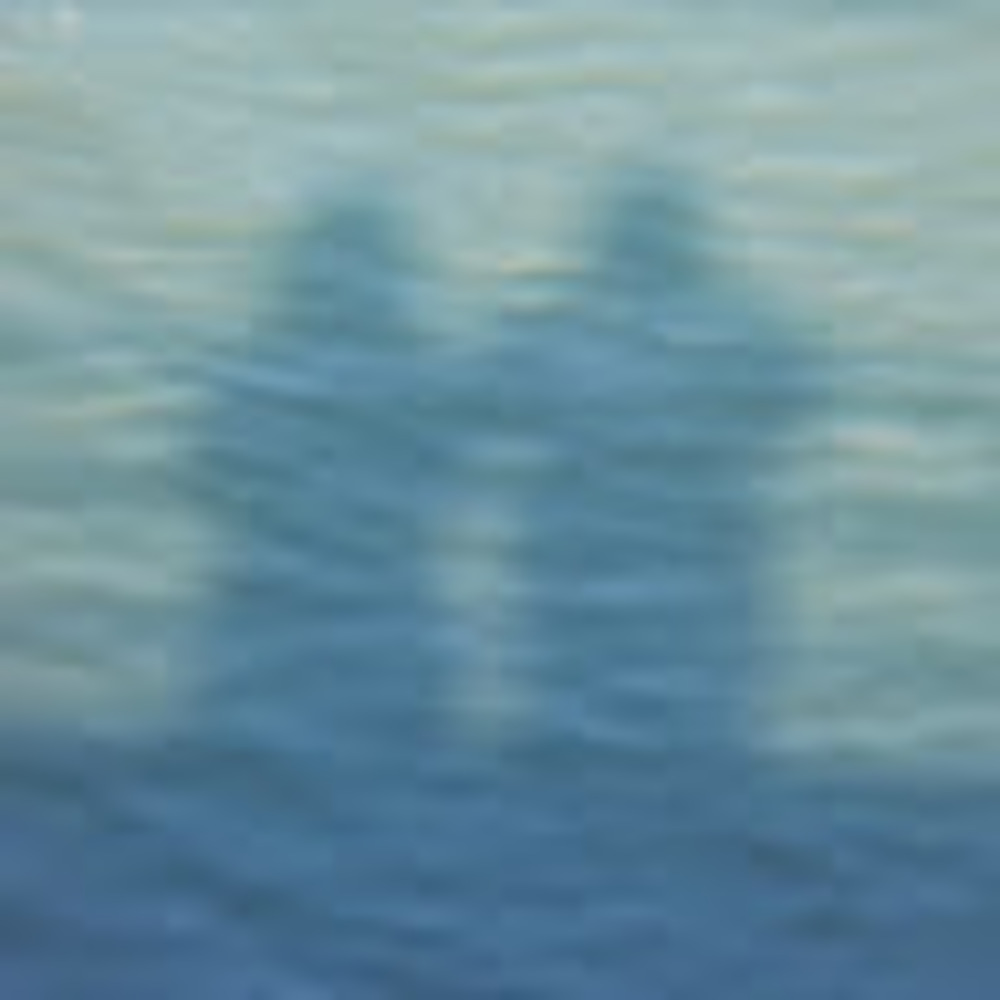 Meet your Posher, Bagheera